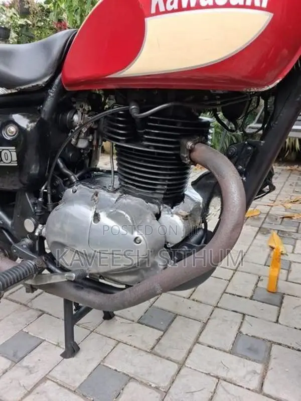 Kawasaki Estrella 2010
