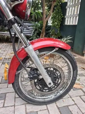 Kawasaki Estrella 2010