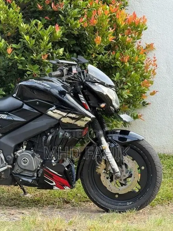 Bajaj Pulsar NS200 BS4 2017