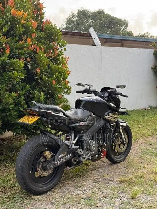 Bajaj Pulsar NS200 BS4 2017