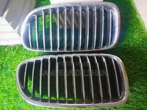 BMW X5 Grill