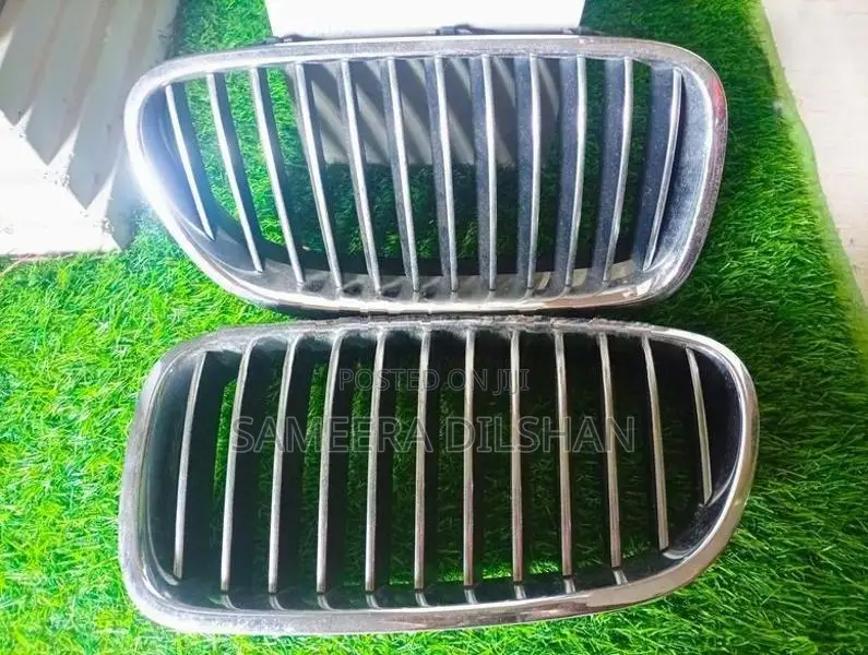 BMW X5 Grill