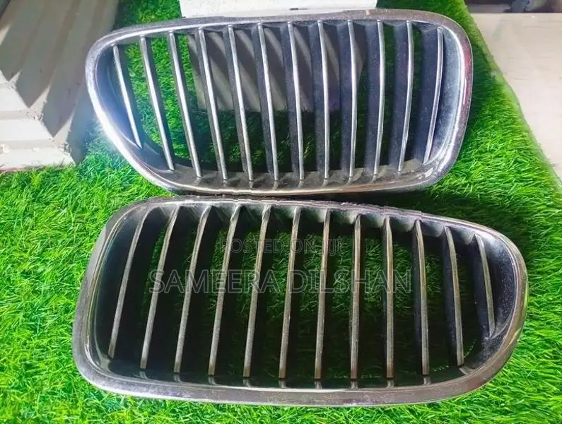 BMW X5 Grill