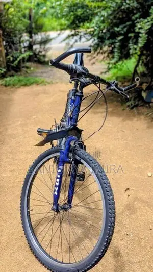 Lumala Bicycle