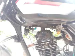 Bajaj CT100 2010