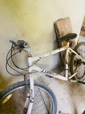 Lumala Bicycle