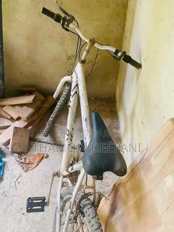 Lumala Bicycle