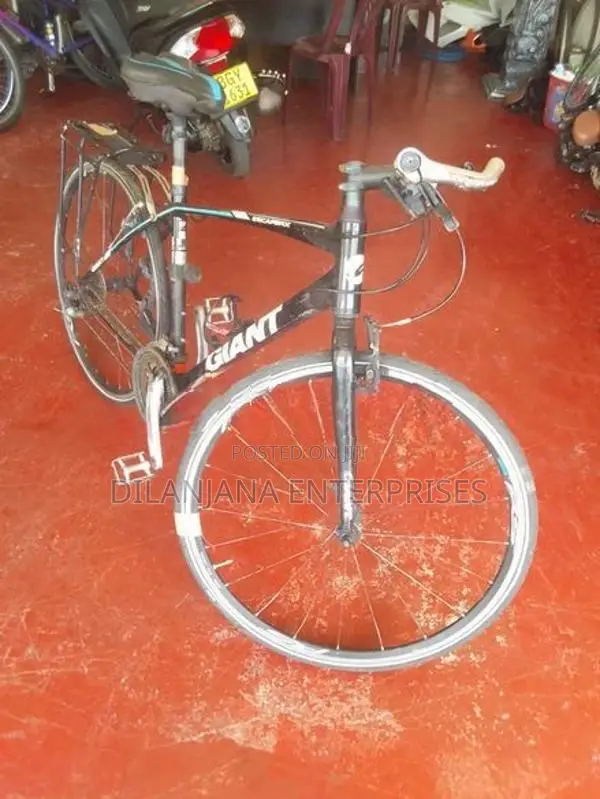Giant Defy Road Bicycle