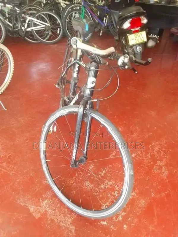 Giant Defy Road Bicycle