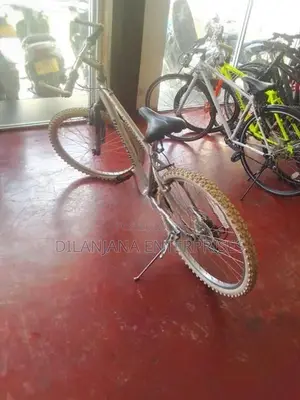 Japan Bicycle