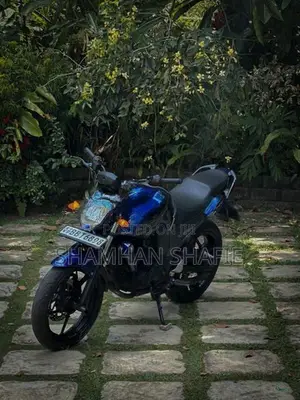Yamaha FZS V1 2014