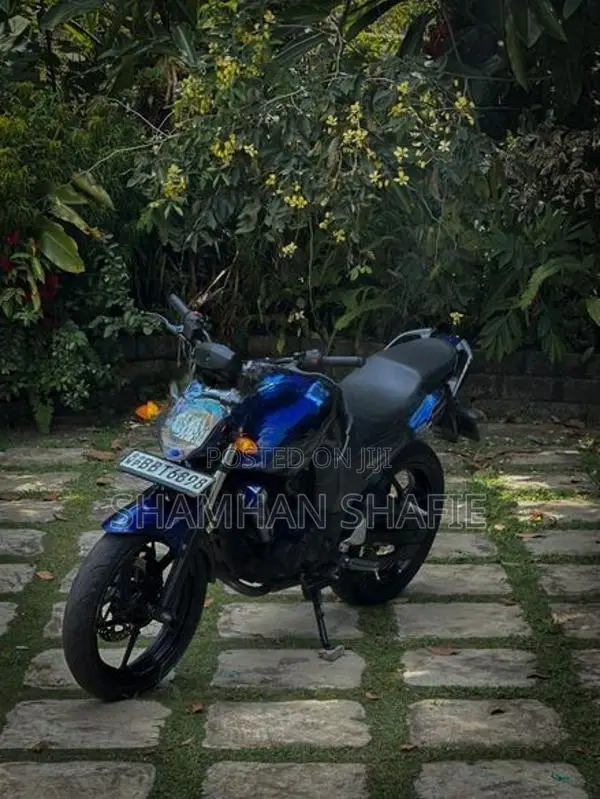 Yamaha FZS V1 2014