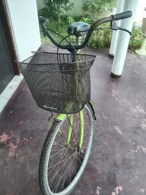 Ladies Cycle