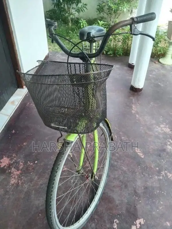 Ladies Cycle