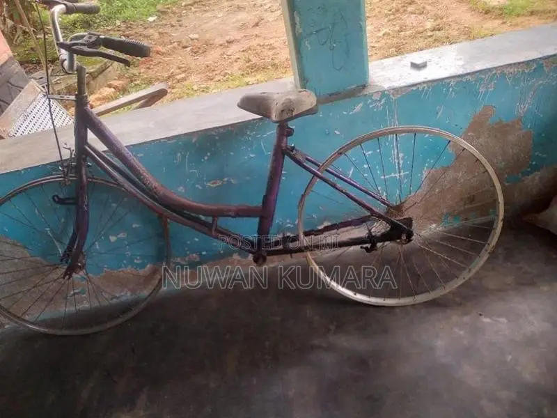 push baicekal