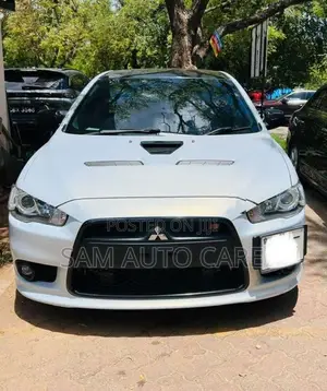Mitsubishi Lancer Evo Ralliart Spec 2011