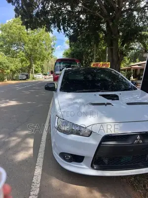 Mitsubishi Lancer Evo Ralliart Spec 2011