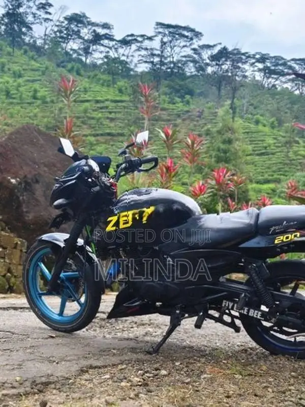 Bajaj Pulsar 200 2010