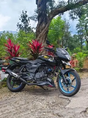 Bajaj Pulsar 200 2010