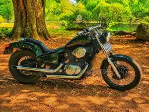 Honda steed 400 Cc 2005