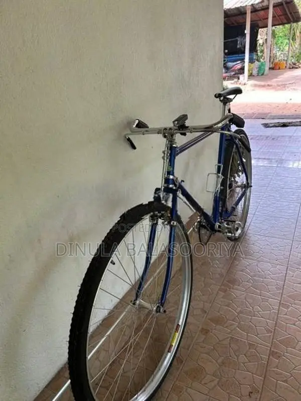 Raleigh Bicycle