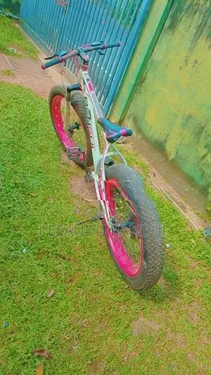 Benshi Beach Bicycle