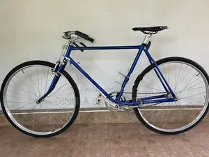 Raleigh Bicycle