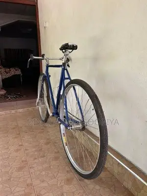 Raleigh Bicycle