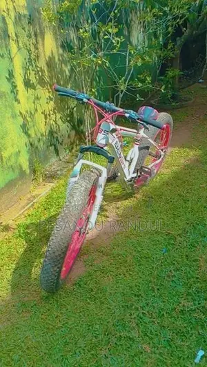 Benshi Beach Bicycle