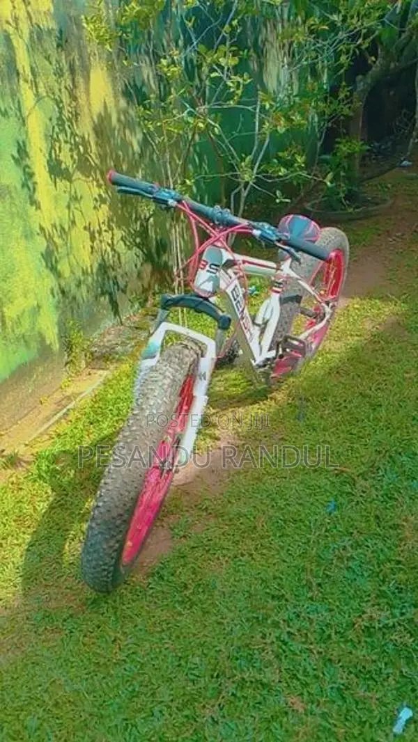 Benshi Beach Bicycle
