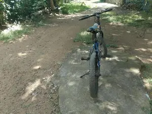 Tomahawk Bicycle