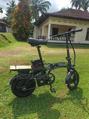 Electric Bicycle