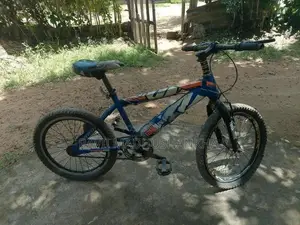 Tomahawk Bicycle