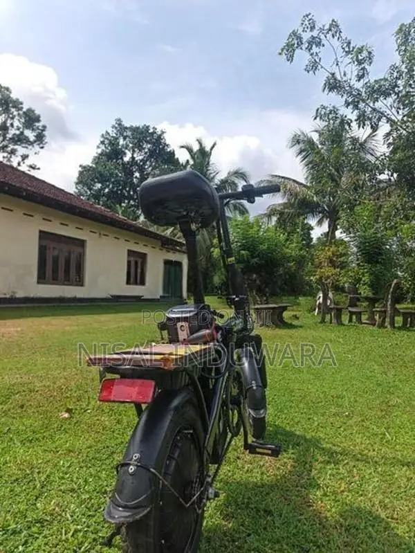 Electric Bicycle