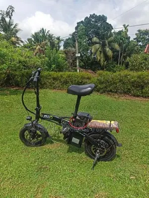 Electric Bicycle