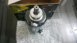 ICHIGO Starting Motor