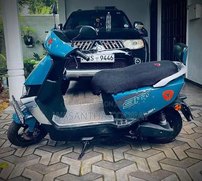 Yadea Ruibin e bike 2024