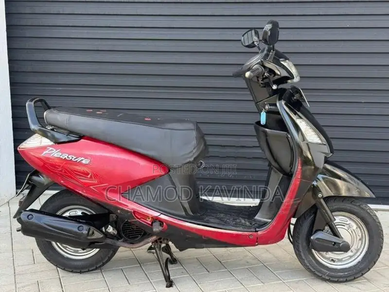Hero Pleasure 2011