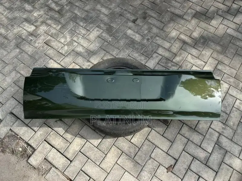 LC 200 Rear Door