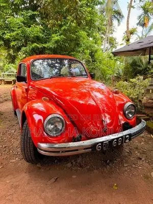Volkswagen VW1300 1970