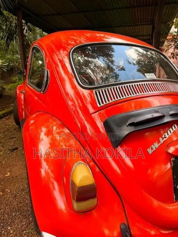 Volkswagen VW1300 1970