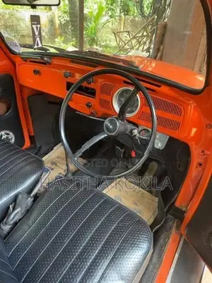 Volkswagen VW1300 1970