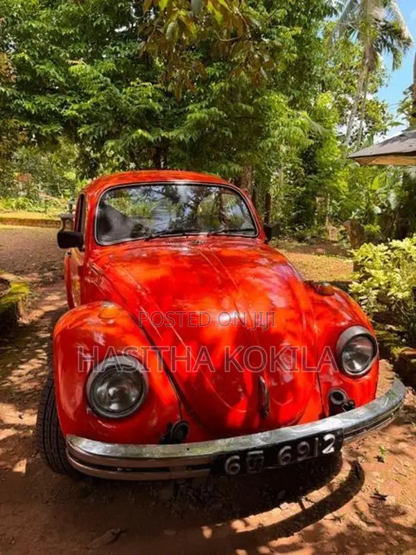 Volkswagen VW1300 1970