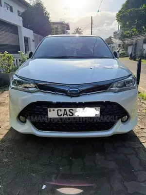 Toyota Axio WXB 2016