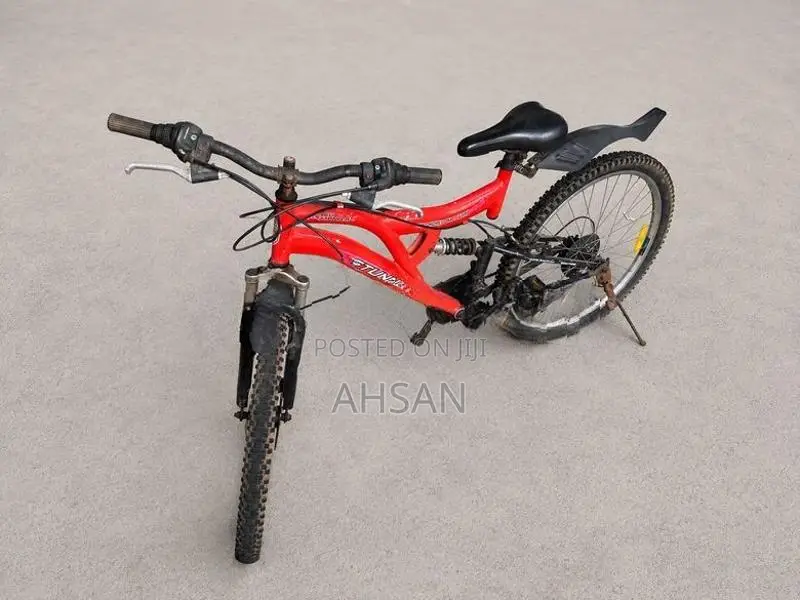 Mountain Bicycle