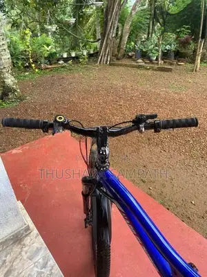Mountain Bicycle