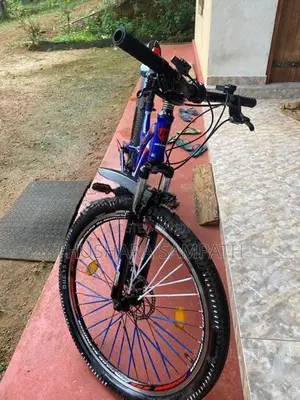 Mountain Bicycle