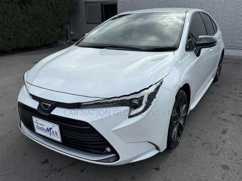 Toyota Corolla WxB 2024