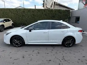 Toyota Corolla WxB 2024