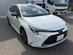 Toyota Corolla WxB 2024